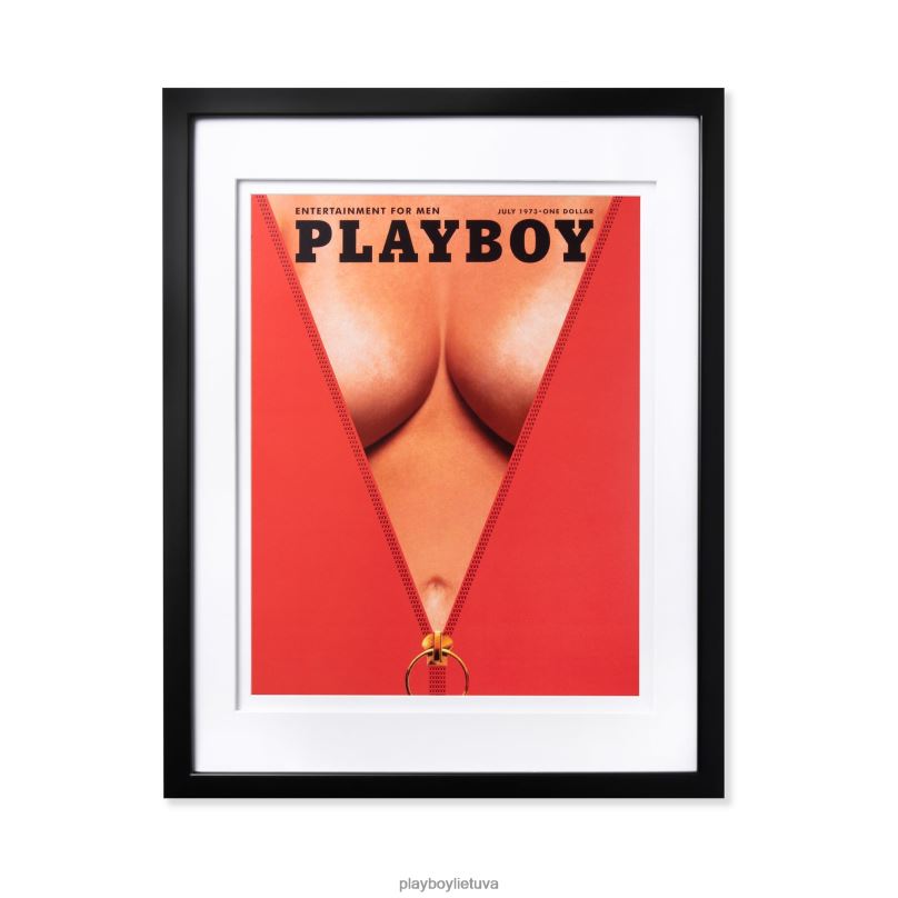 1973 m. liepos mėn. viršelio įrėmintas spaudinys baltas rėmelis Playboy unisex priedas 64RVB909